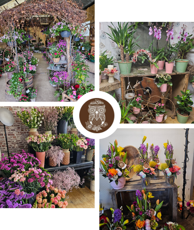 fleuriste à La-Suze-sur-Sarthe près d'Allones dans la Sarthe 72