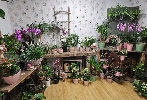 boutique de fleurs à La Suze-sur-Sarthe près d’Allonnes dans la Sarthe 72