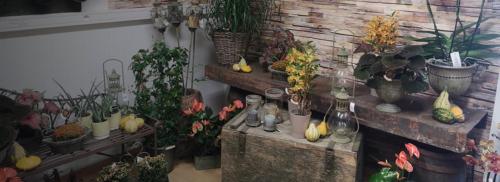 Découvrez notre boutique