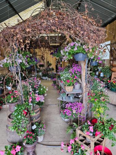 Découvrez notre boutique