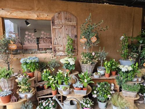 Découvrez notre boutique