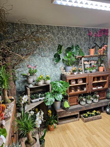 Découvrez notre boutique