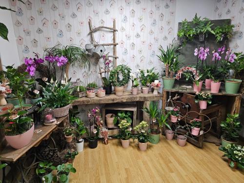 Découvrez notre boutique