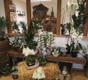 Découvrez notre boutique